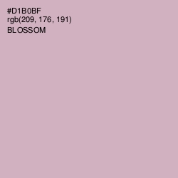 #D1B0BF - Blossom Color Image