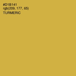 #D1B141 - Turmeric Color Image