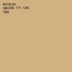 #D1B181 - Tan Color Image