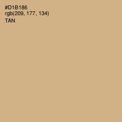 #D1B186 - Tan Color Image