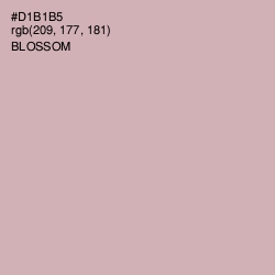 #D1B1B5 - Blossom Color Image