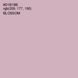 #D1B1BE - Blossom Color Image