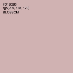 #D1B2B3 - Blossom Color Image