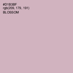 #D1B3BF - Blossom Color Image