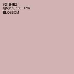 #D1B4B2 - Blossom Color Image