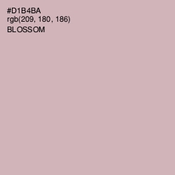 #D1B4BA - Blossom Color Image