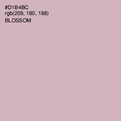 #D1B4BC - Blossom Color Image