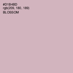 #D1B4BD - Blossom Color Image