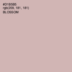 #D1B5B5 - Blossom Color Image