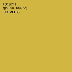 #D1B741 - Turmeric Color Image