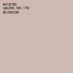 #D1B7B2 - Blossom Color Image