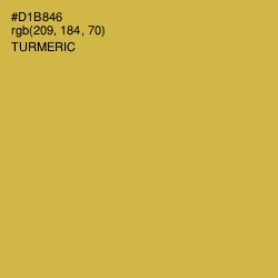 #D1B846 - Turmeric Color Image