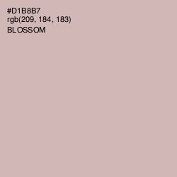 #D1B8B7 - Blossom Color Image