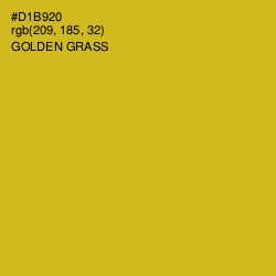#D1B920 - Golden Grass Color Image