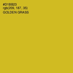 #D1BB23 - Golden Grass Color Image