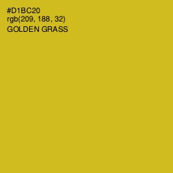 #D1BC20 - Golden Grass Color Image