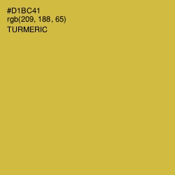 #D1BC41 - Turmeric Color Image