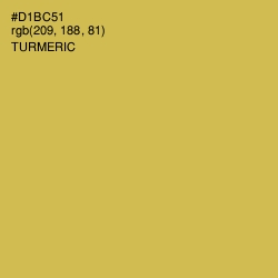 #D1BC51 - Turmeric Color Image