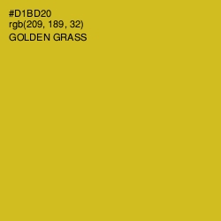 #D1BD20 - Golden Grass Color Image