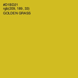 #D1BD21 - Golden Grass Color Image