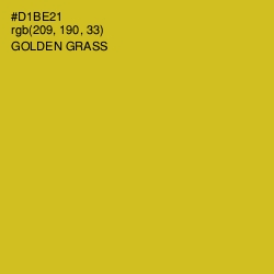 #D1BE21 - Golden Grass Color Image