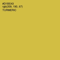 #D1BE43 - Turmeric Color Image