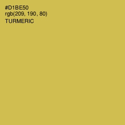 #D1BE50 - Turmeric Color Image