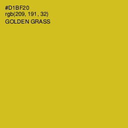 #D1BF20 - Golden Grass Color Image