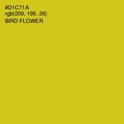 #D1C71A - Bird Flower Color Image