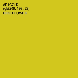 #D1C71D - Bird Flower Color Image