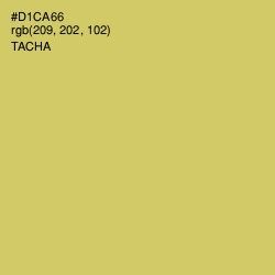 #D1CA66 - Tacha Color Image