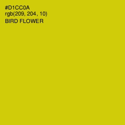 #D1CC0A - Bird Flower Color Image