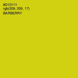 #D1D111 - Barberry Color Image