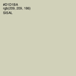 #D1D1BA - Sisal Color Image