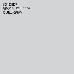 #D1D5D7 - Quill Gray Color Image