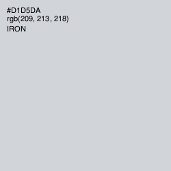 #D1D5DA - Iron Color Image