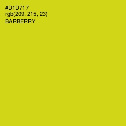 #D1D717 - Barberry Color Image