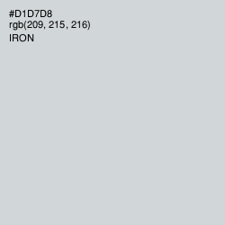 #D1D7D8 - Iron Color Image
