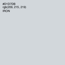 #D1D7DB - Iron Color Image