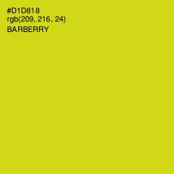 #D1D818 - Barberry Color Image
