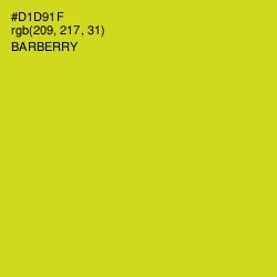 #D1D91F - Barberry Color Image