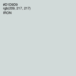 #D1D9D9 - Iron Color Image