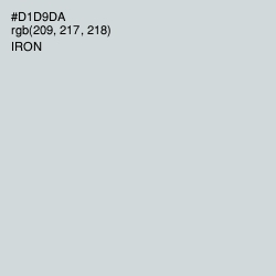 #D1D9DA - Iron Color Image