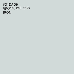 #D1DAD9 - Iron Color Image