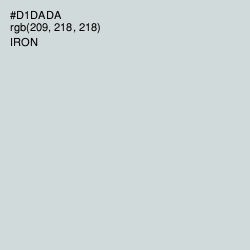 #D1DADA - Iron Color Image