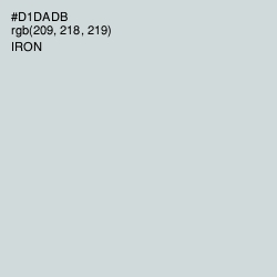 #D1DADB - Iron Color Image
