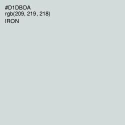 #D1DBDA - Iron Color Image