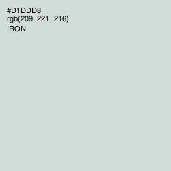 #D1DDD8 - Iron Color Image