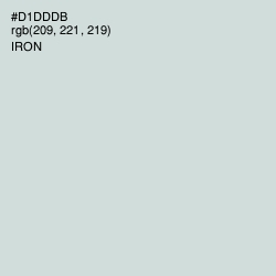 #D1DDDB - Iron Color Image