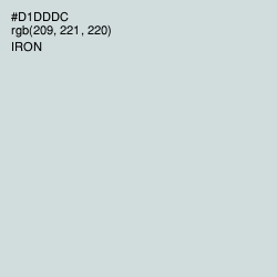 #D1DDDC - Iron Color Image